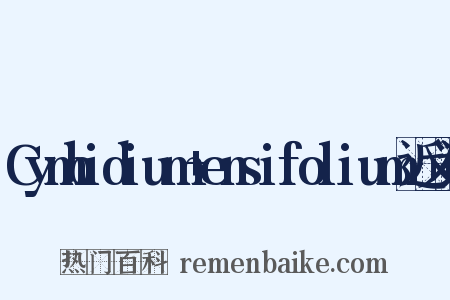 Cymbidium+ensifolium近义词是什么意思的图片
